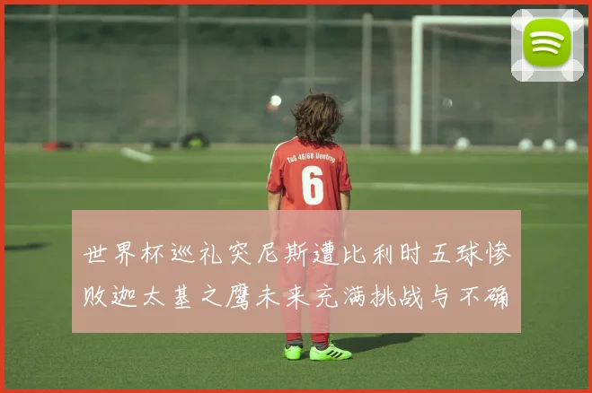 世界杯巡礼突尼斯遭比利时五球惨败迦太基之鹰未来充满挑战与不确定性